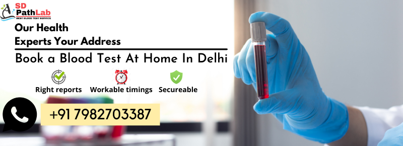  Blood Test At Home In Delhi
